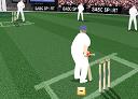 Game "Cricket"