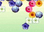 Game "Flower Power"