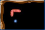  Game"Worm Food"