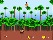 Game "Super Racoon"