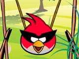  Game"Angry Birds Get Eggs"