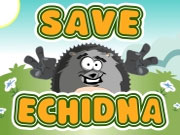 Game "Save Echidna"