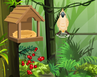 Game "My Sweet Parrot"